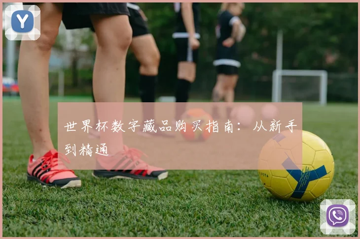 世界杯数字藏品购买指南：从新手到精通